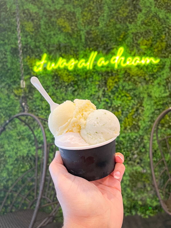 A hand holding a cup with three scoops of gelato from La Gelatteria, a gelato shop in Kensington, Maryland.