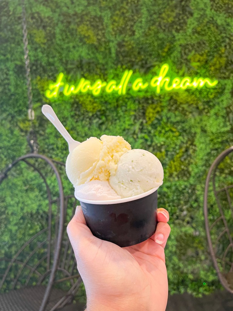 A hand holding a cup of gelato