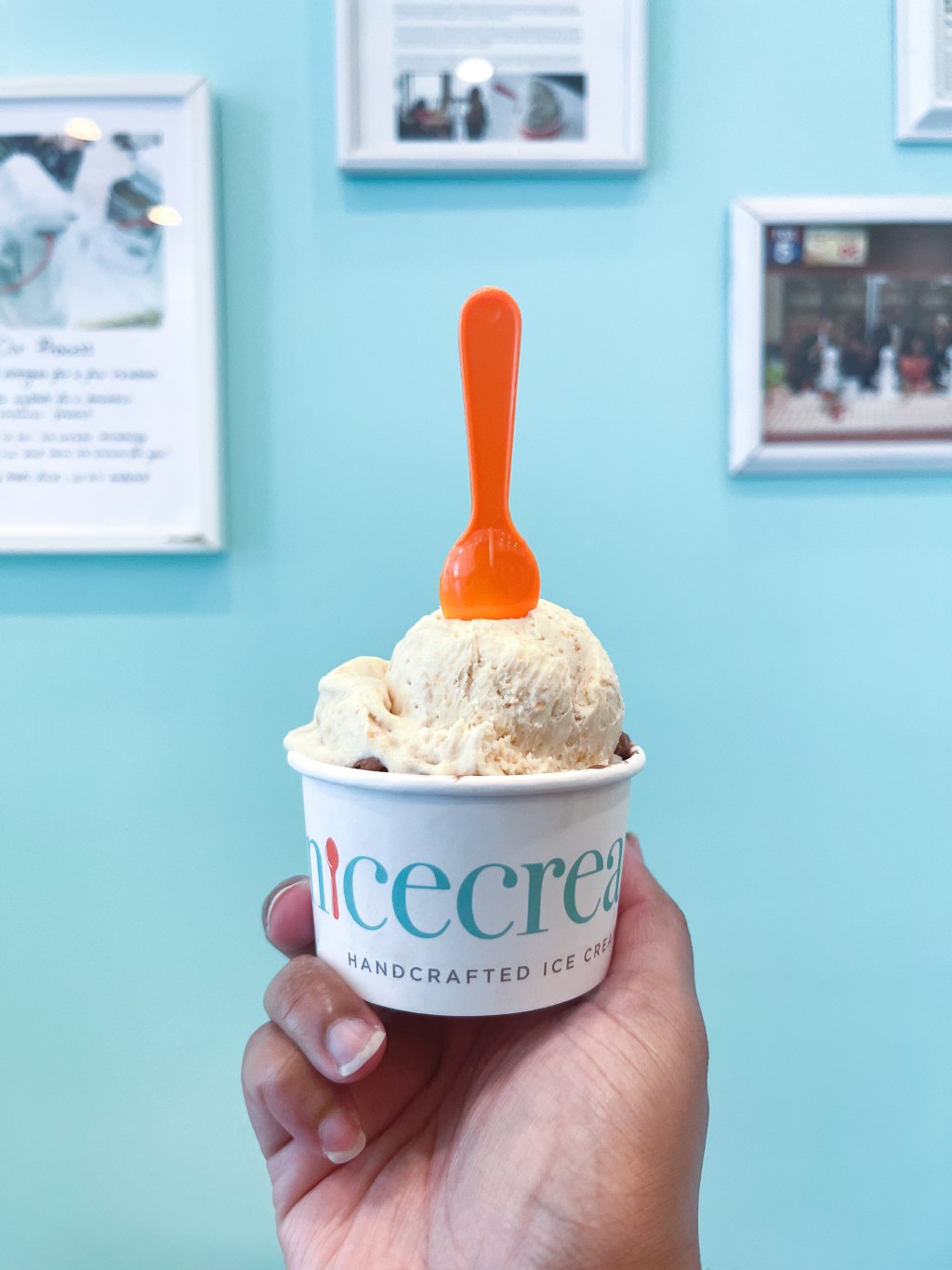 A hand holding a cup of ice cream from Nicecream, which is an ice cream shop located in Arlington, Virginia. The flavors are White Chocolate Peanut Butter and Dark Chocolate.
