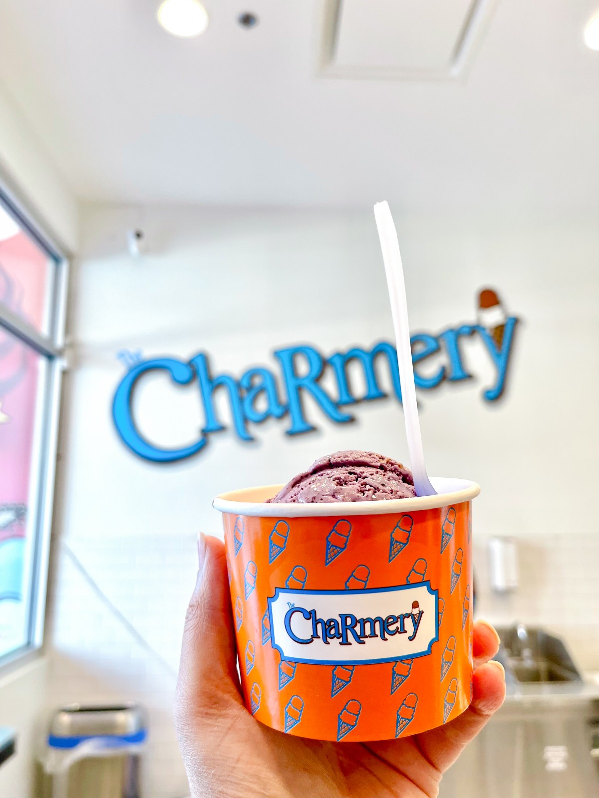 DMV Ice Cream & Gelato Shops&nbsp;Guide