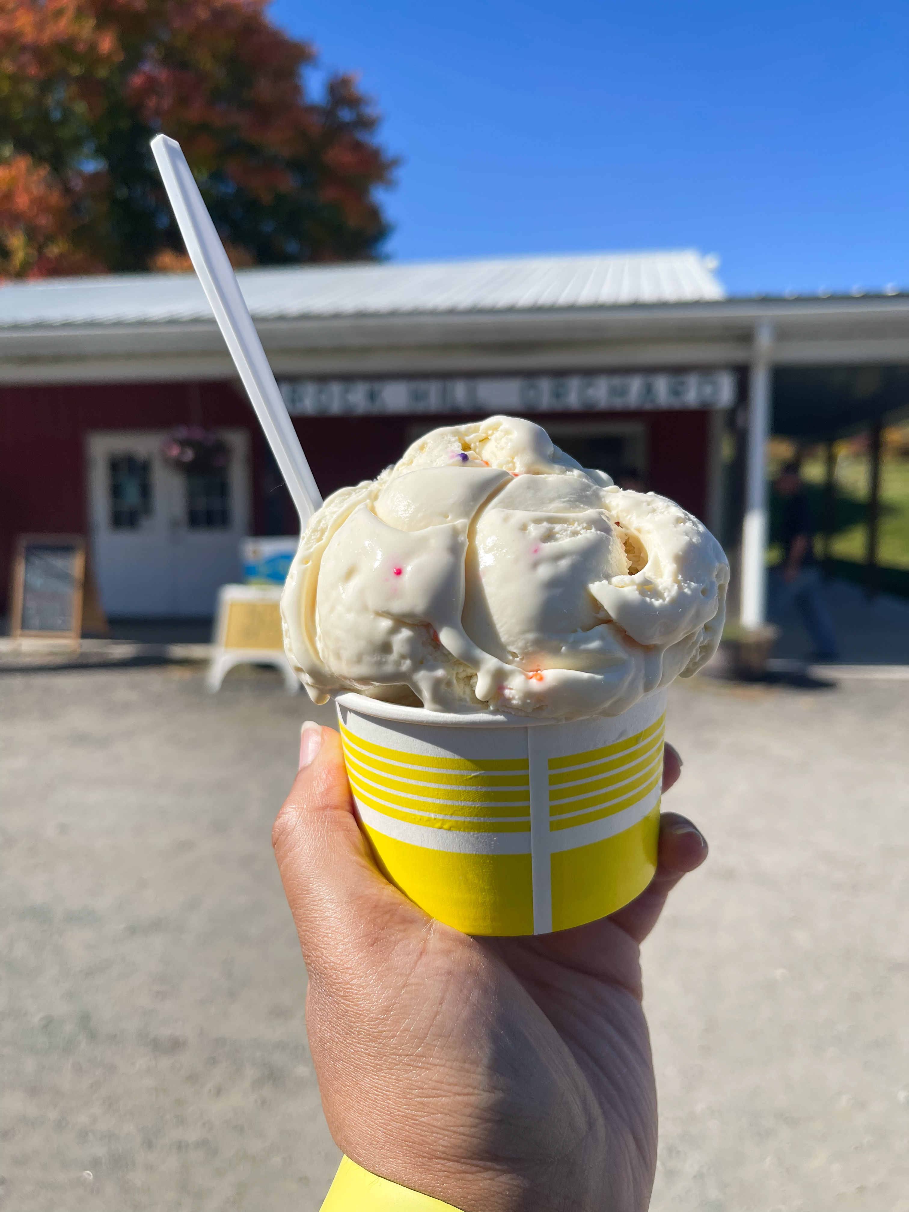 a hand holding a cup of ice cream with a spoon